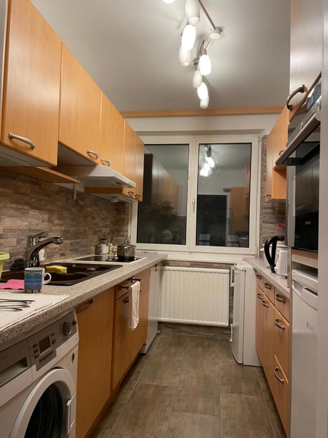 Wien-Vienna Homestay Dış mekan fotoğraf